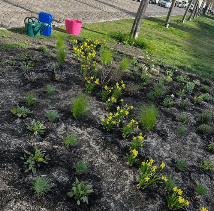 Infotreffen "Stadtgrün schützen"