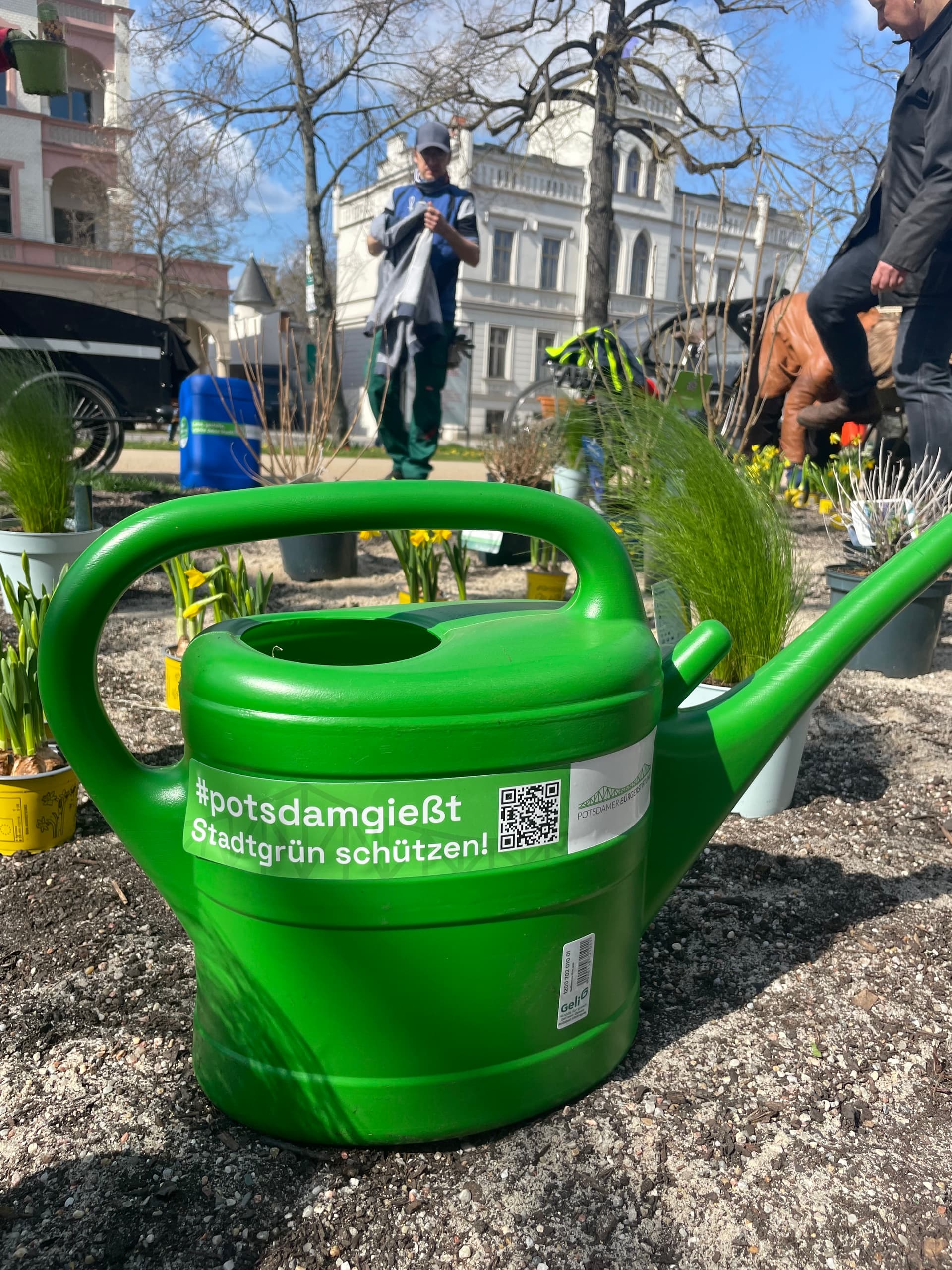 Potsdam blüht auf: Bürger:Beet entsteht in der Stadtmitte