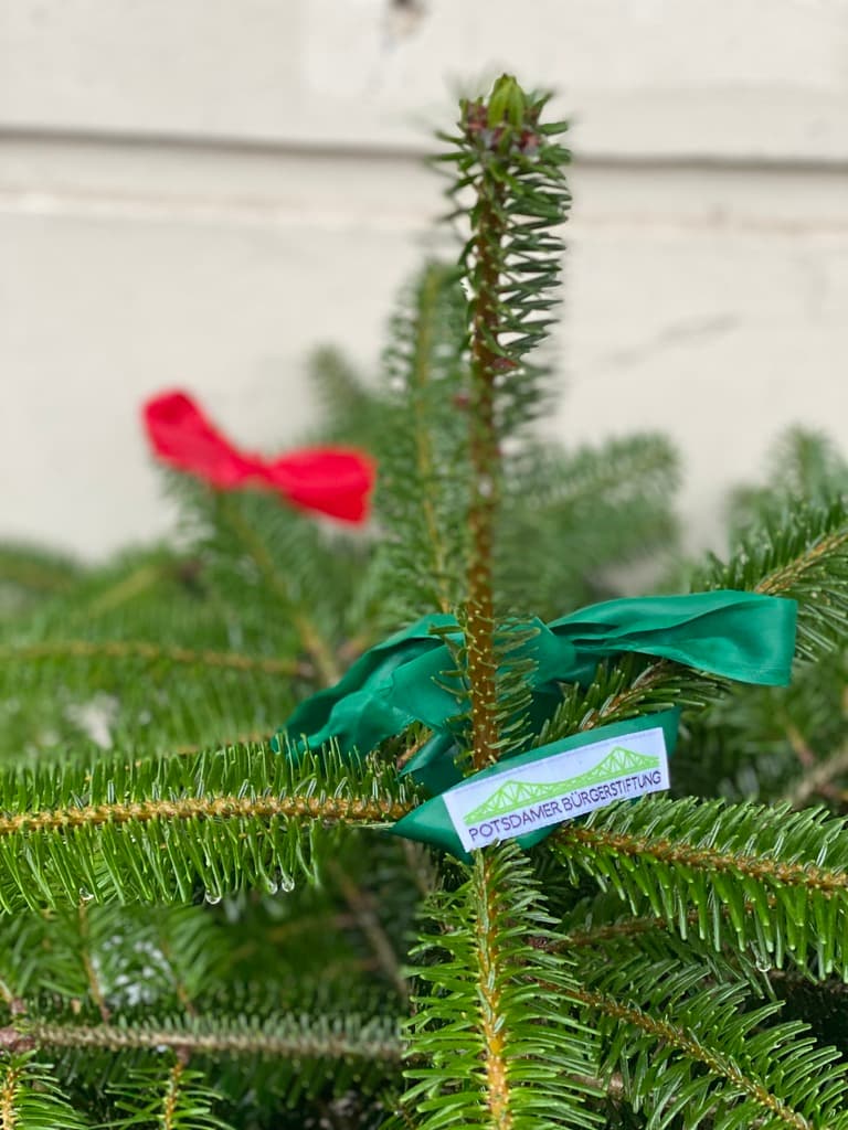 Bild von Adventsmarkt am Nauener Tor